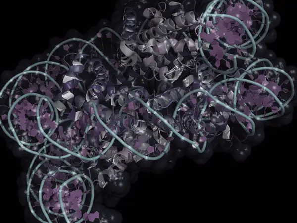 Histone modifiers