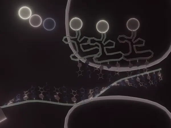 Protein translation inhibitors