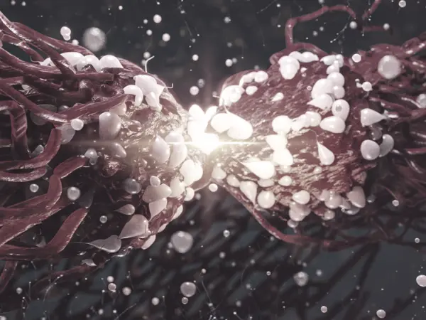 Aurora kinase inhibitors