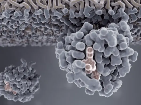 Farnesyltransferase inhibitors