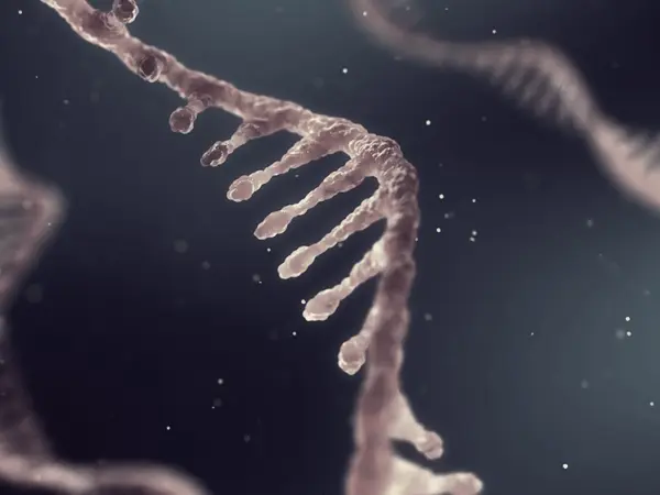 Splicing inhibitors